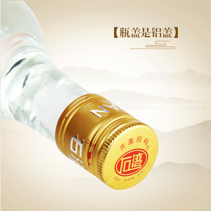 Shi Wan Pai Yu Bing Shao 500ml Chinese Baijiu